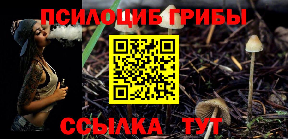 Галлюциногенные грибы Psilocybe Белогорск