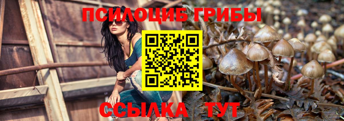 Псилоцибиновые грибы прущие грибы  сколько стоит  Белогорск  Псилоцибиновые грибы ЛСД  Вход с VPN 